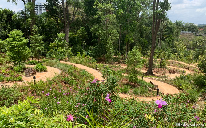 The Gallop Valley & Woollerton Gate: How To Get Singapore Botanic Gardens From Farrar Road