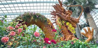 Dahlia Dreams 2024: Legend of the Dragon Gate