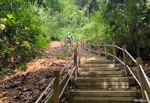 Dairy Farm Loop: Stairway To The Summit