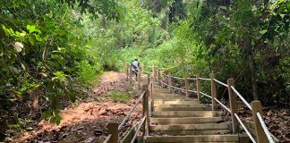 Dairy Farm Loop: Stairway To The Summit