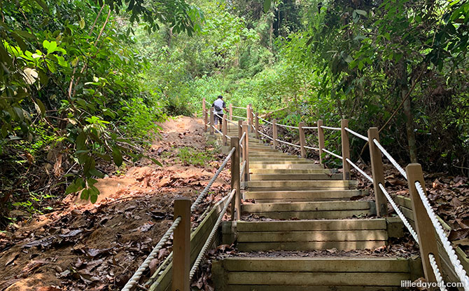 Dairy Farm Loop: Stairway To The Summit