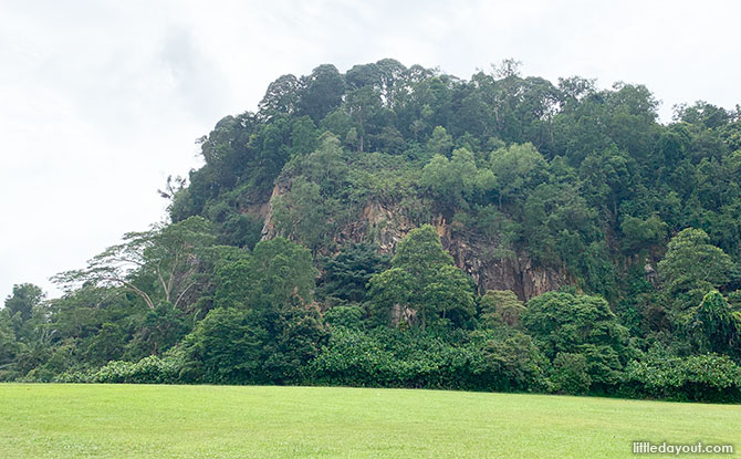 Dairy Farm Quarry