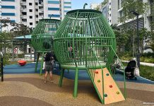 Dakota One Playground: Coconuts & Village Life Dakata One Playground: Coconuts & Village Life