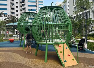 Dakota One Playground: Coconuts & Village Life Dakata One Playground: Coconuts & Village Life