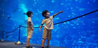 Singaporeans To Receive $100 Worth of SingapoRediscovers Vouchers To Spend From December 2020 To June 2021