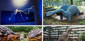 Rediscover SG: Dinosaurs In Singapore