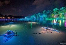 Things To Do This Weekend In Singapore: 4 To 5 July 2026 Things To Do This Weekend In Singapore: 4 To 5 July 2026