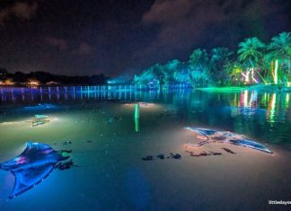 Things To Do This Weekend In Singapore: 4 To 5 July 2026 Things To Do This Weekend In Singapore: 4 To 5 July 2026