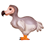 Dodo