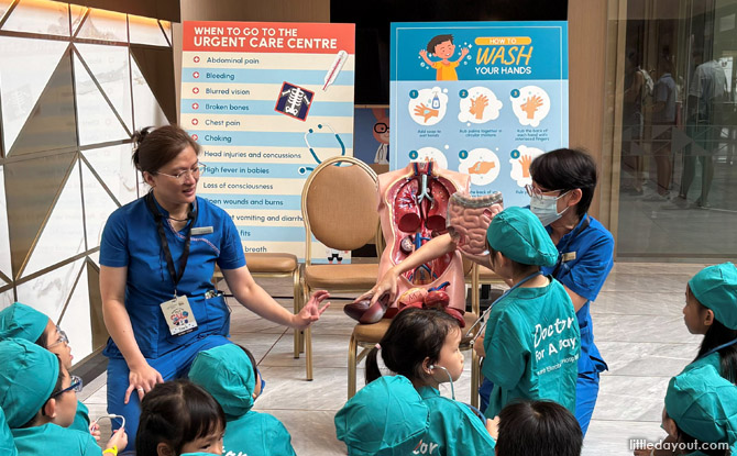 Doctor For A Day At Mount Elizabeth Hospital Review 2 simple session on naming body parts and understanding the function of some organs