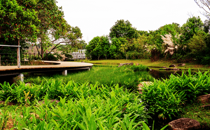 Hong Kong Wetland Park