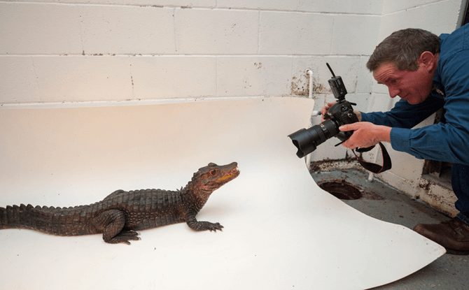 Credit: Joel Sartore National Geographic Photo Ark