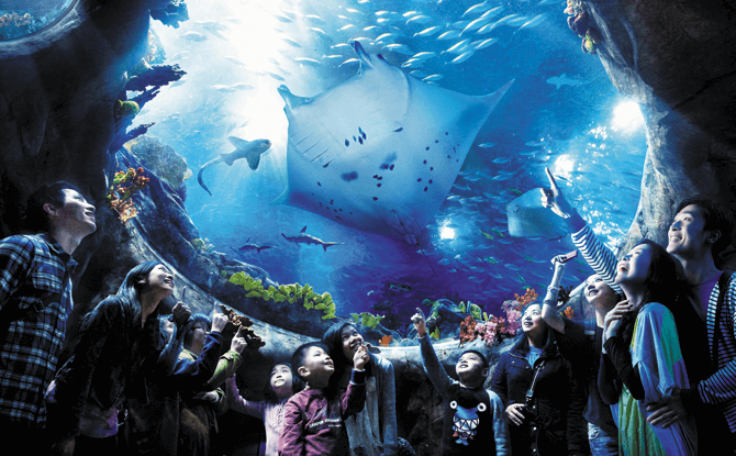 Oceanarium at Ocean Park