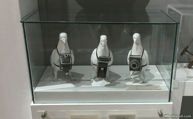 Pigeon Camera - Vintage Camera Museum