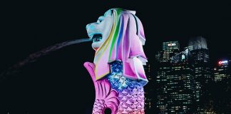 Light Projections At Marina Bay: Build A Dream In The Countdown To 2019