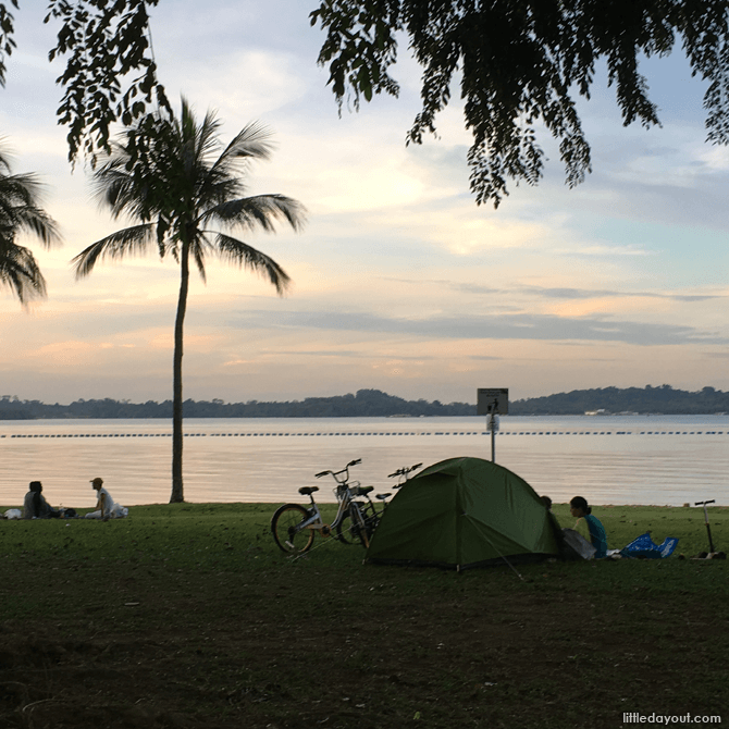 Camping at Pasir Ris Park