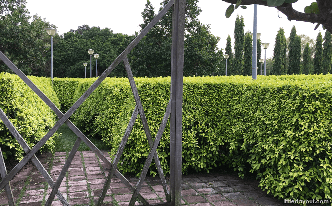 Pasir Ris Park Maze