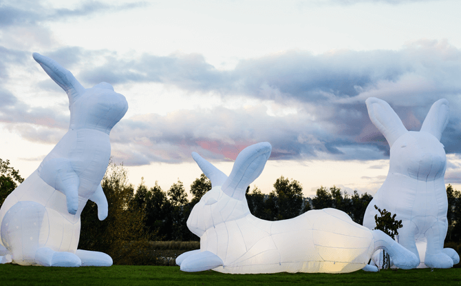 Amanda Parer's Intrude