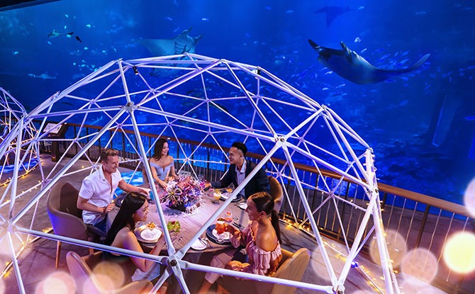 Aqua Gastronomy, A New Experience at S.E.A. Aquarium