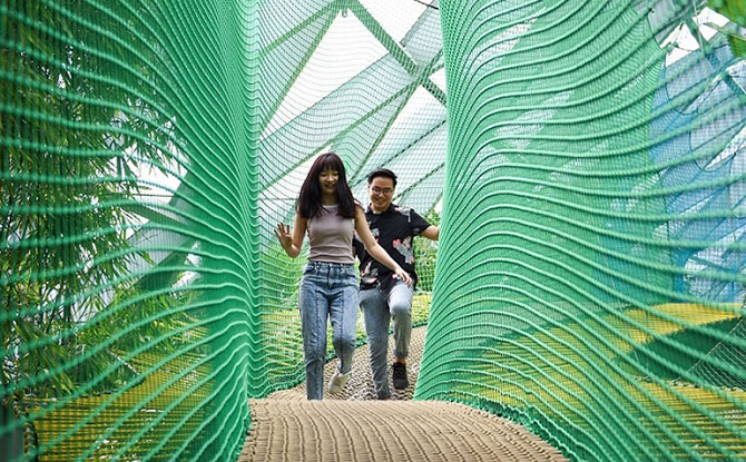 Manulife Bouncing Nets - Canopy Park