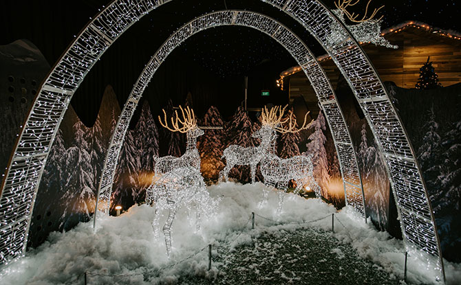 Santa’s Grotto, Christmas Wonderland