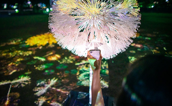 Interacting through Virtual Dandelion Fluff 