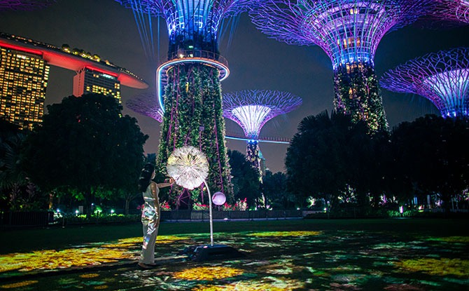 Dandelion At Gardens By The Bay: Connecting Singapore & Japan Through Virtual Flowers