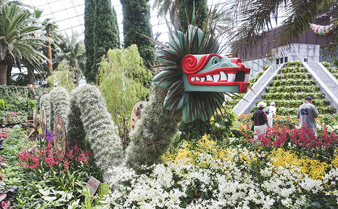 Activities at Hanging Gardens – Mexican Roots at Gardens By The Bay