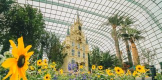 Gardens By The Bay Is Reopening 1 July. Here’s What You Need To Know.