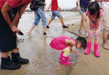 Marine Life Along Singapore's Shores