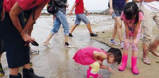 Marine Life Along Singapore's Shores