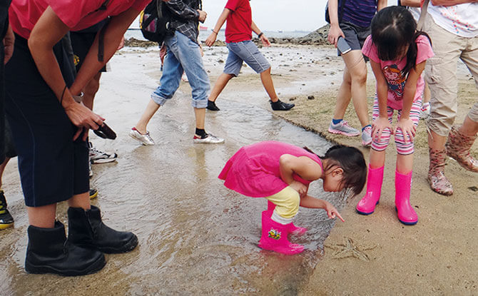 Marine Life Along Singapore's Shores