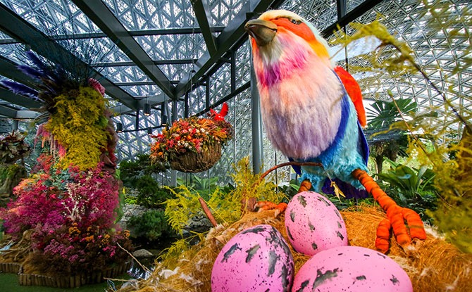 Floral Fantasy, Gardens By The Bay Reopens 21 November 2020