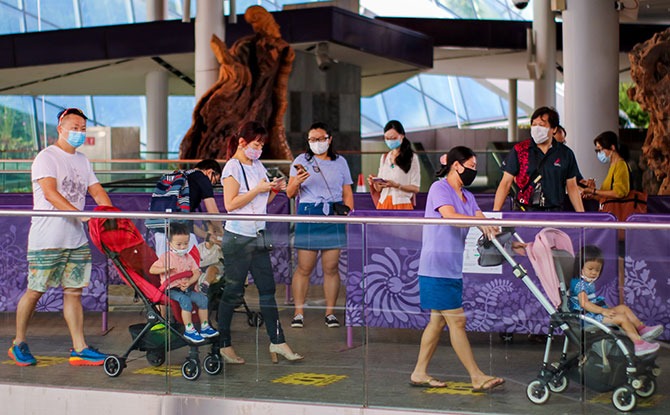 Pre-book to Visit Gardens by the Bay's Flower Dome