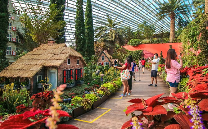 Flower Dome Reopening - European Landscape at the Flower Field