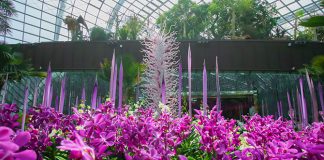 Nurses Enjoy Free Entry To Cooled Conservatories & Dale Chihuly: Glass In Bloom This August 2021