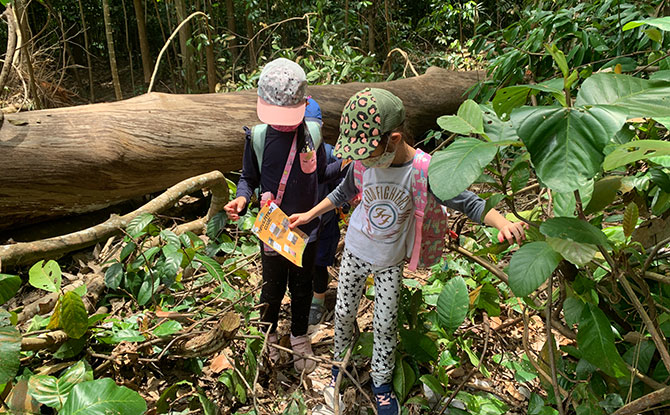 Outdoor School Singapore Holiday Camps - Forest Scouts Holiday Camp
