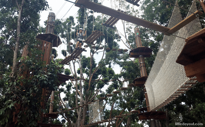 Forest Adventure at Bedok Reservoir Park, Singapore