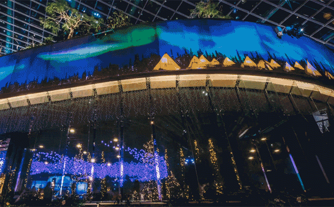 Northern Lights at Gardens by the Bay's Flower Dome