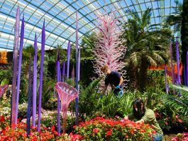 Glass Sculptures From “Dale Chihuly: Glass In Bloom” Unveiled At Gardens By The Bay’s Cooled Conservatories