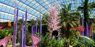 Glass Sculptures From “Dale Chihuly: Glass In Bloom” Unveiled At Gardens By The Bay’s Cooled Conservatories