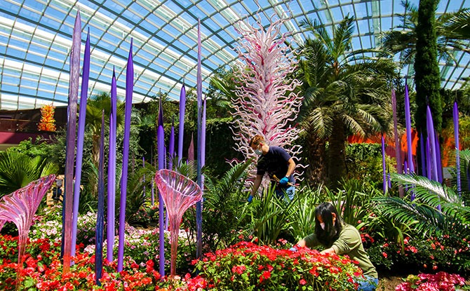 Glass Sculptures From “Dale Chihuly: Glass In Bloom” Unveiled At Gardens By The Bay’s Cooled Conservatories