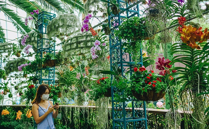 e-Hanging-Gardens Things To Do This Weekend In Singapore: 17 & 18 October 2020