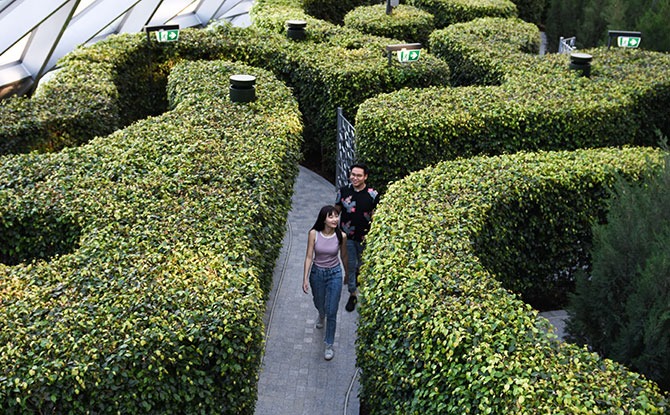 Canopy Park Maze