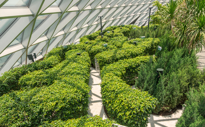 Mazes, Jewel Changi Airport