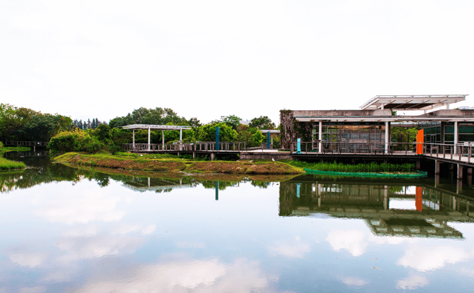 Hong Kong Wetland Park