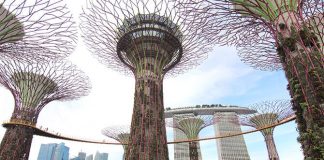 OCBC Skyway, Gardens by the Bay
