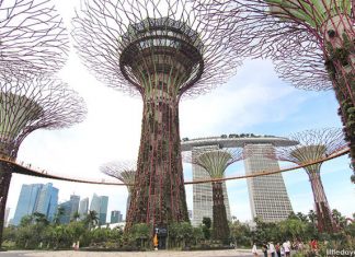OCBC Skyway, Gardens by the Bay