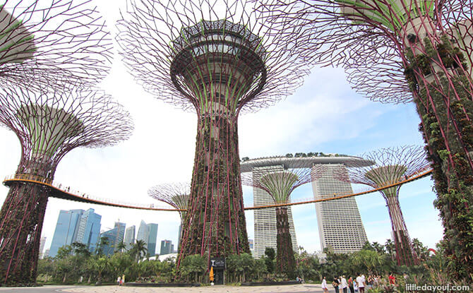 OCBC Skyway, Gardens by the Bay