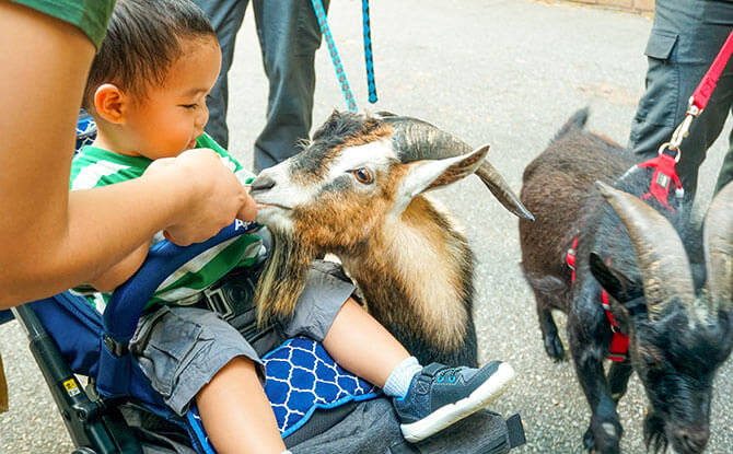 1-for-1 Admission to Singapore Zoo, Jurong Bird Park, River Safari and Night Safari during March School Holidays, 13 to 22 Mar 2020